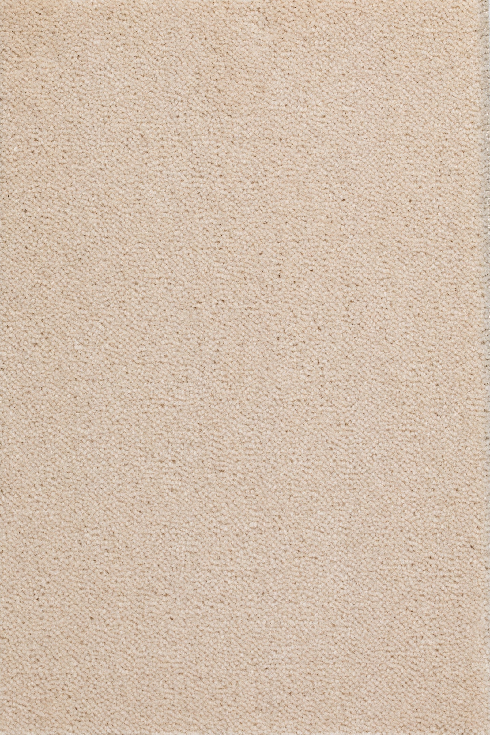 Felisa Teppichboden | Farbe: Beige (1004)