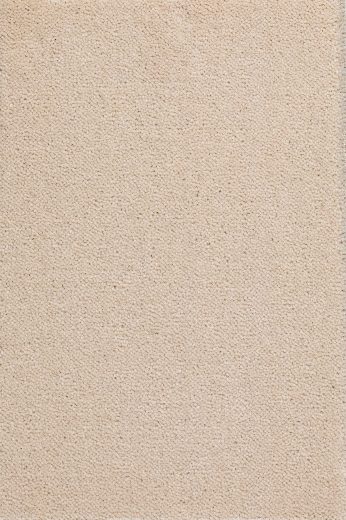 Felisa Teppichboden | Farbe: Beige (1004)