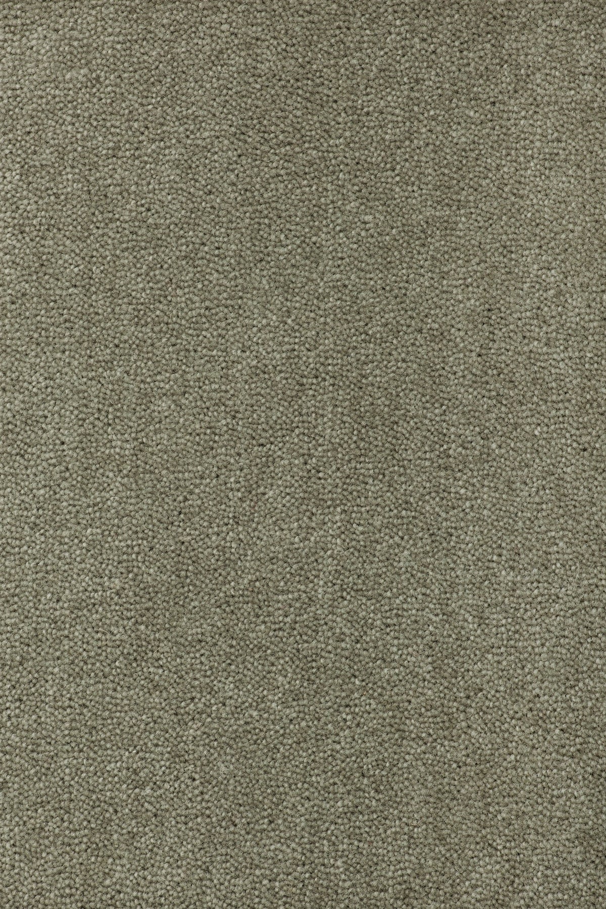 Felisa Teppichboden | Farbe: Olivgrau (1025)