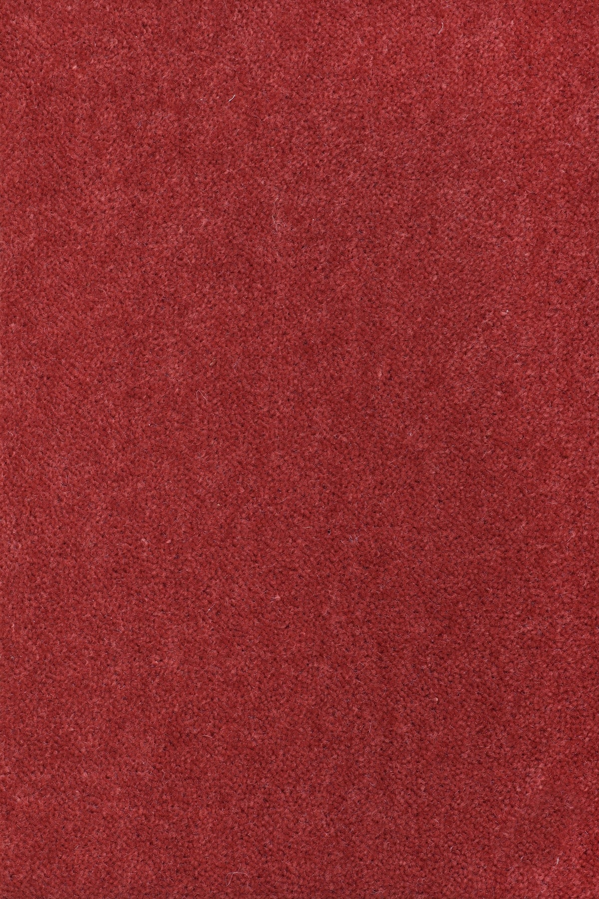 Felisa Teppichboden | Farbe: Rot (1045)
