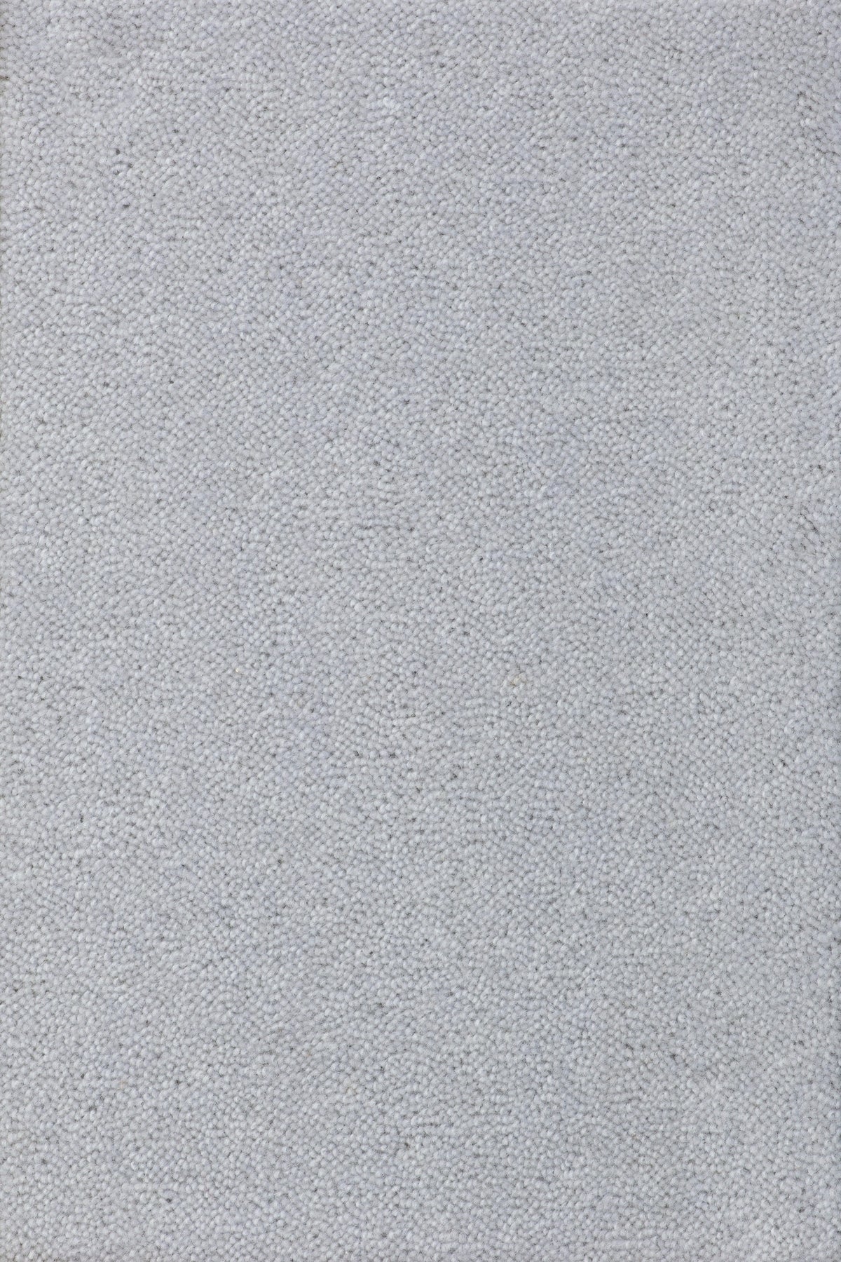 Felisa Teppichboden | Farbe: Silbergrau Hell (1041)