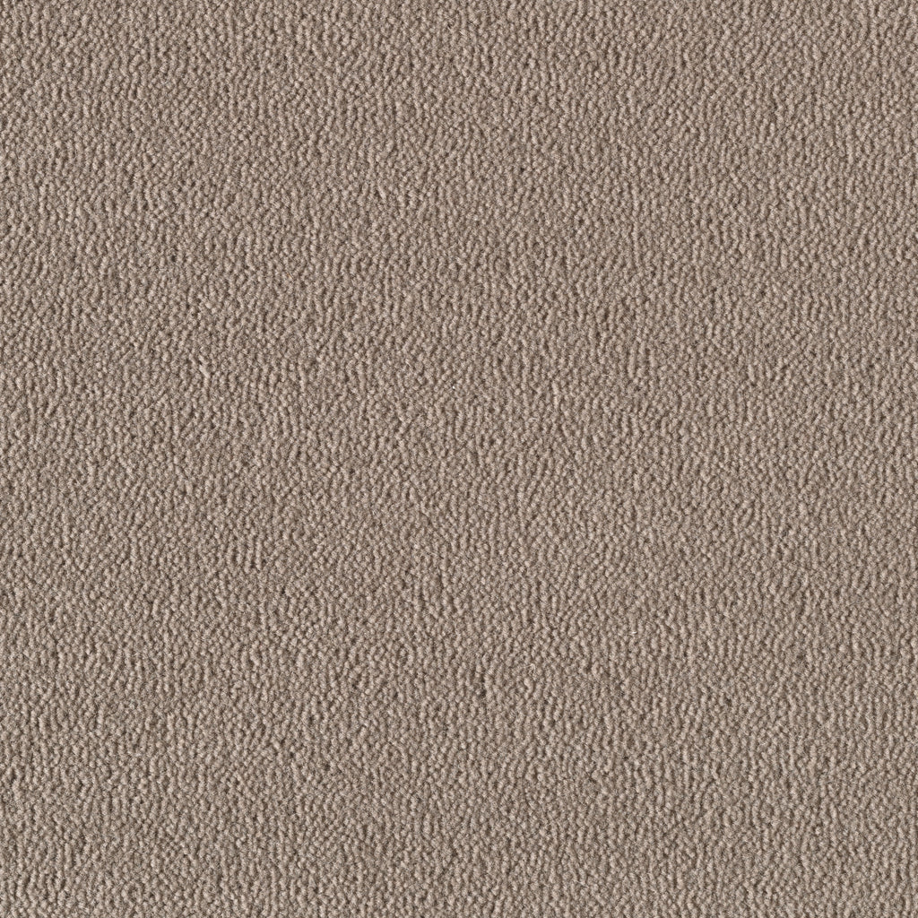 Felisa Teppichboden | Farbe: Taupe (1030)