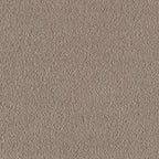 Felisa Teppichboden | Farbe: Taupe (1030)