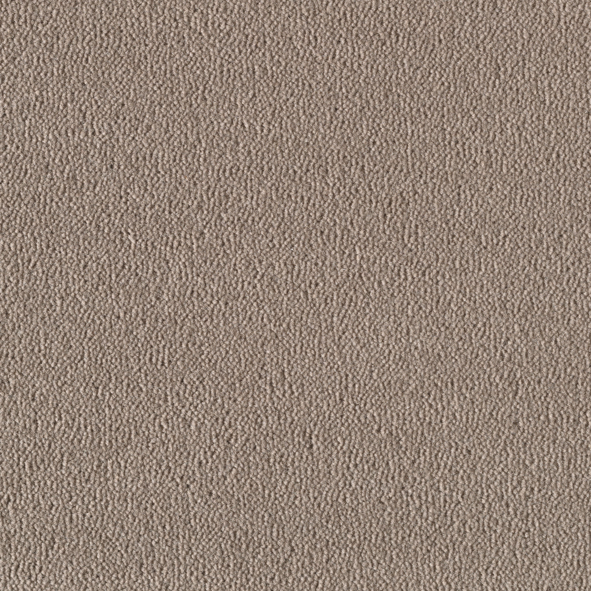 Felisa Teppichboden | Farbe: Taupe (1030)