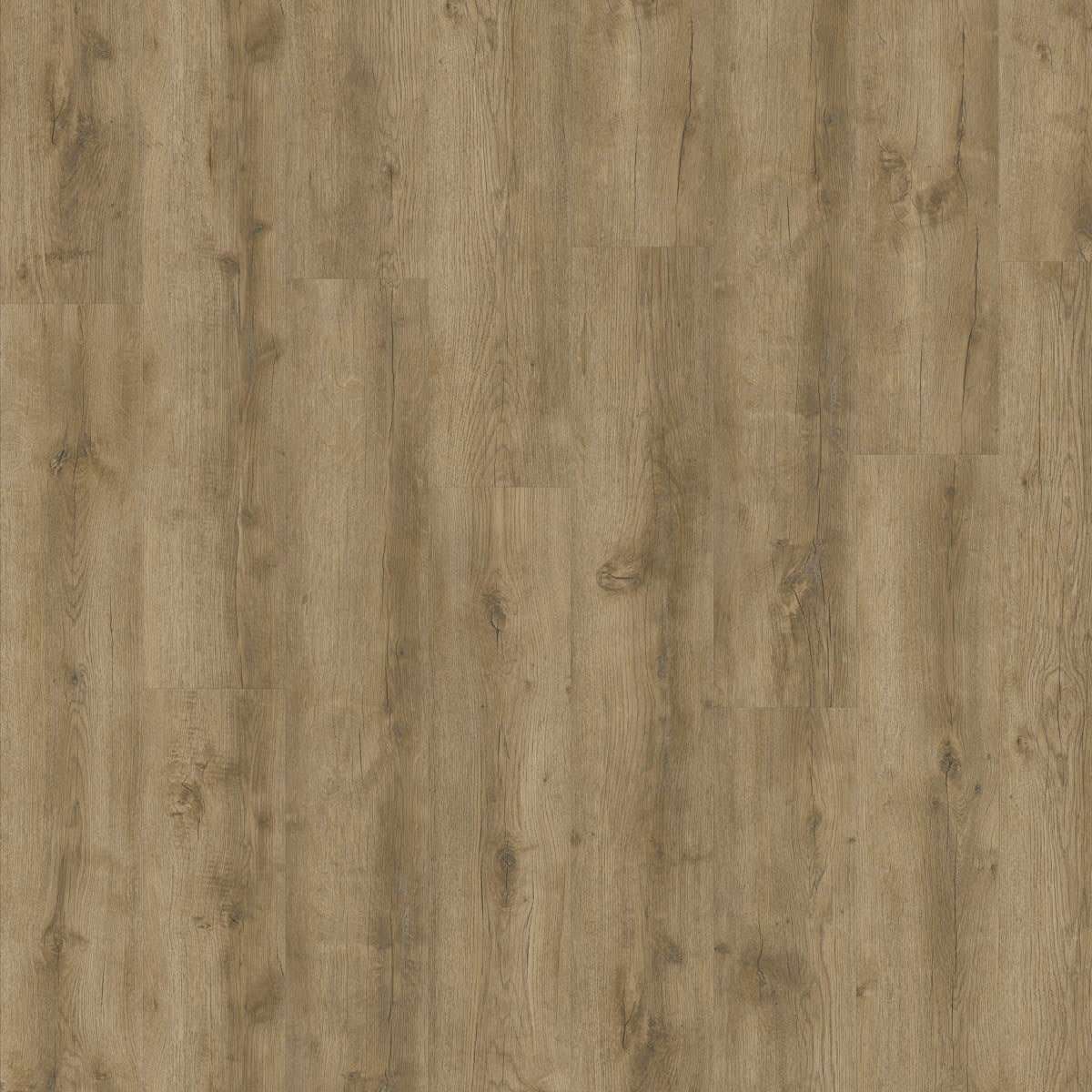 Ferondo Eiche Taupe Klickvinyl