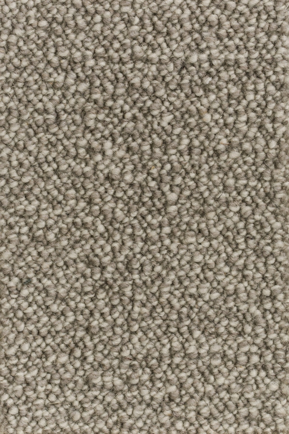 Fiordessa Teppichboden | Farbe: Dunkeltaupe (279)