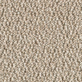 Sand Dunkel (20)