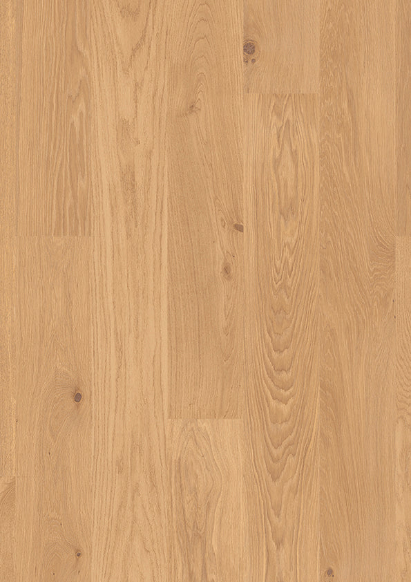 Fjordia | Farbe: Eiche Rohholz Natur geölt | Produktbild
