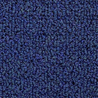 Fortena Sauberlaufmatte | Farbe: Blau | Farbansicht