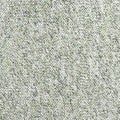 Salbei (43)
