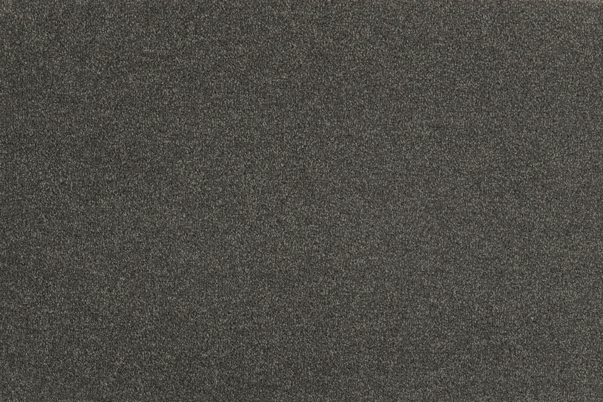 Fuchsia Teppichboden | Farbe: Basalt (049)