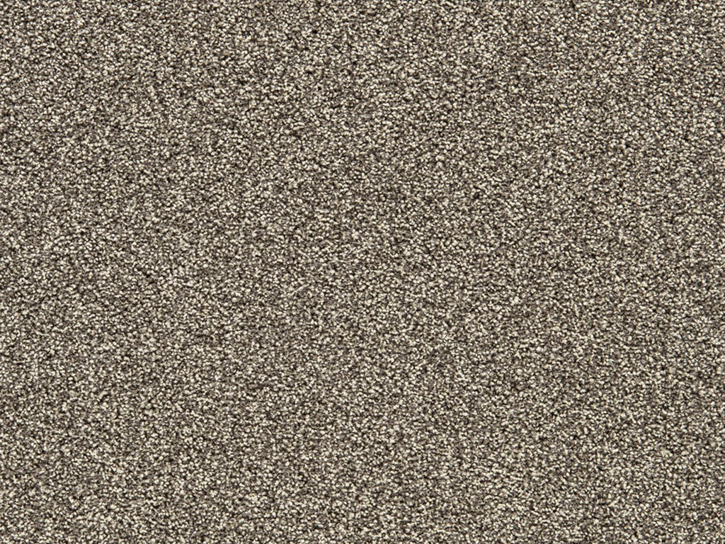 Fuchsia Teppichboden | Farbe: Taupe (042)