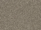 Fuchsia Teppichboden | Farbe: Taupe (042)