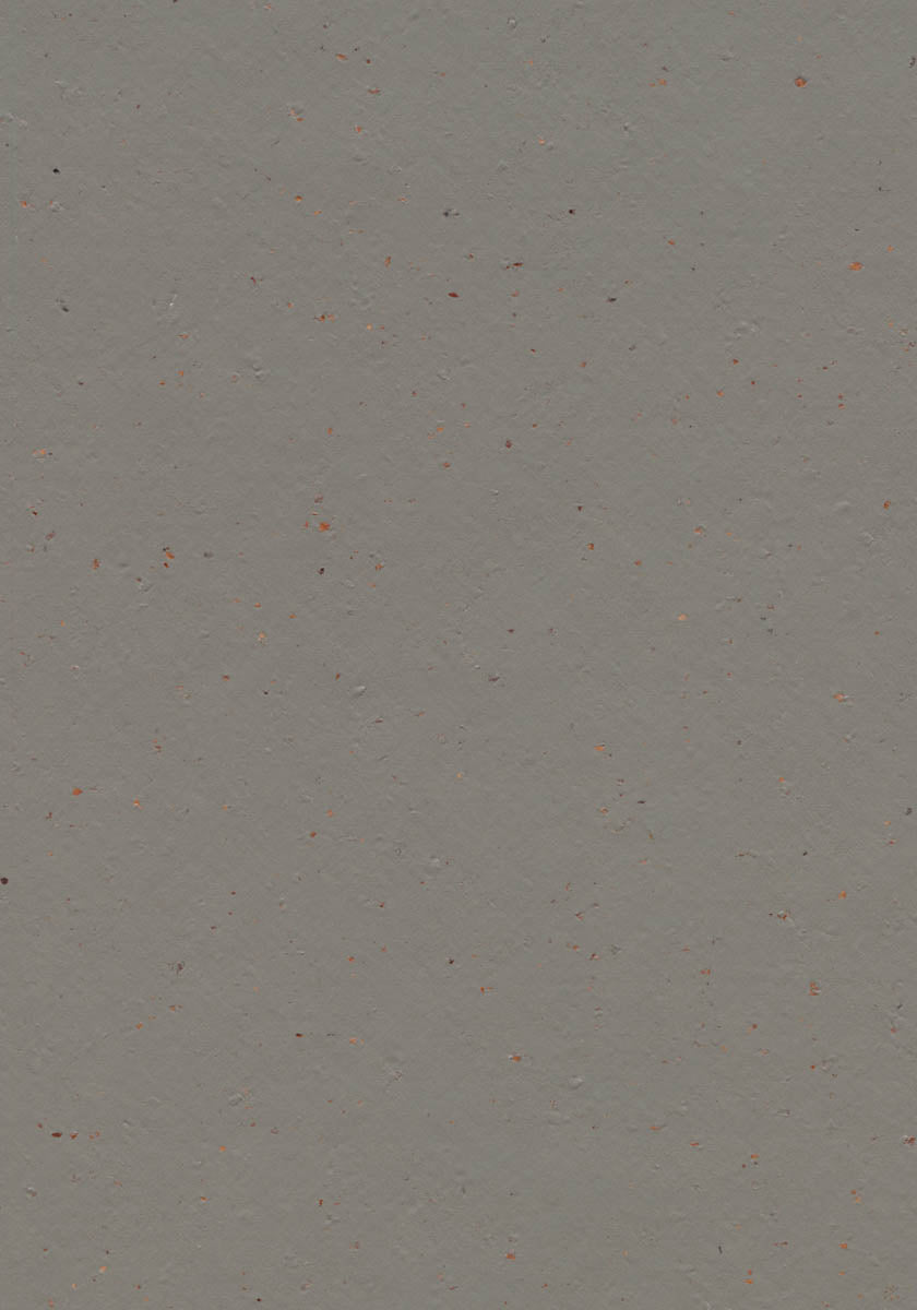 Gaudino Linoleumboden 200cm | Farbe: Graubraun | Farbansicht