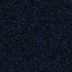 Gemora Sauberlaufmatte 105 × 155 cm | Farbe: Blau | Farbansicht