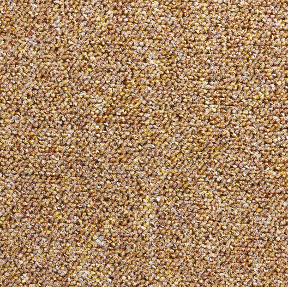 Gerbera Teppich nach Maß | Farbe: Karamell (15) | Farbfoto (Farbe kann abweichen)