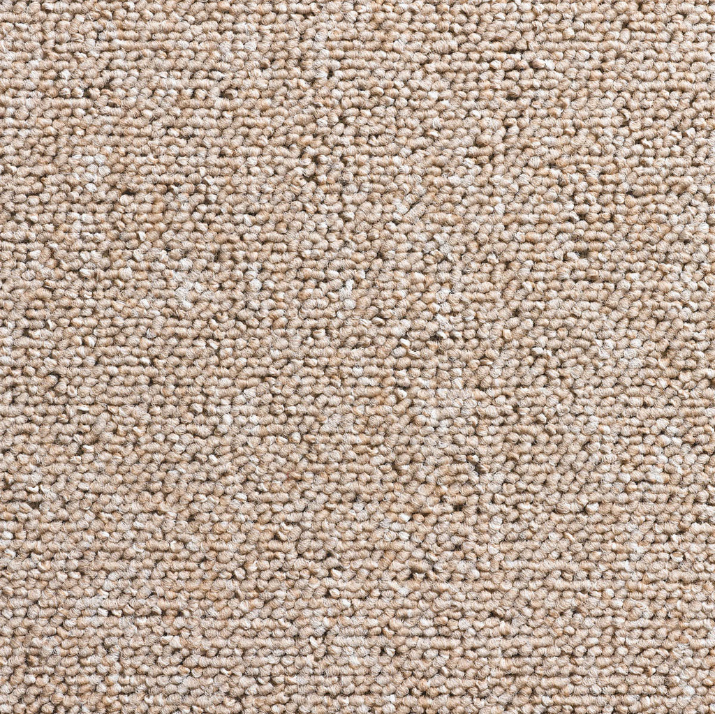 Gerbera Teppichboden | Farbe: Sand (14)