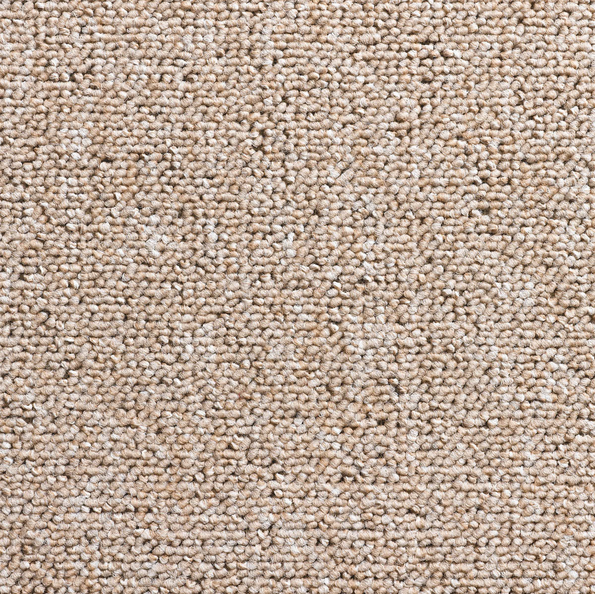 Gerbera Teppichboden | Farbe: Sand (14)