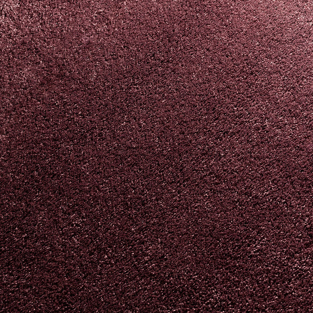 Glycinia Teppichboden | Farbe: Aubergine (481)
