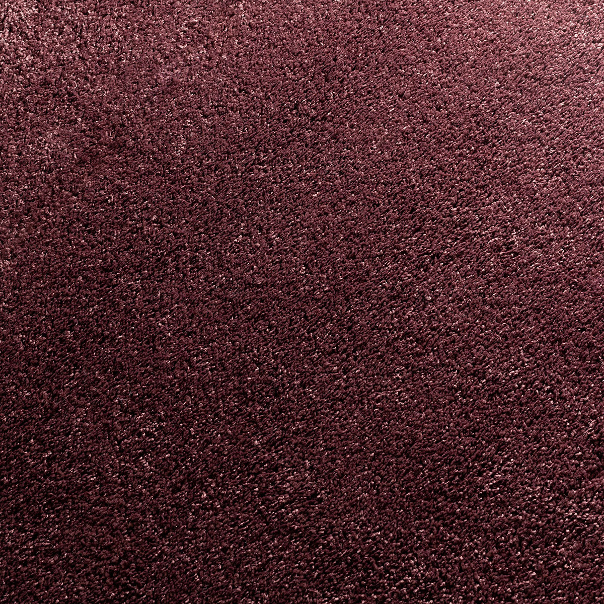 Glycinia Teppichboden | Farbe: Aubergine (481)