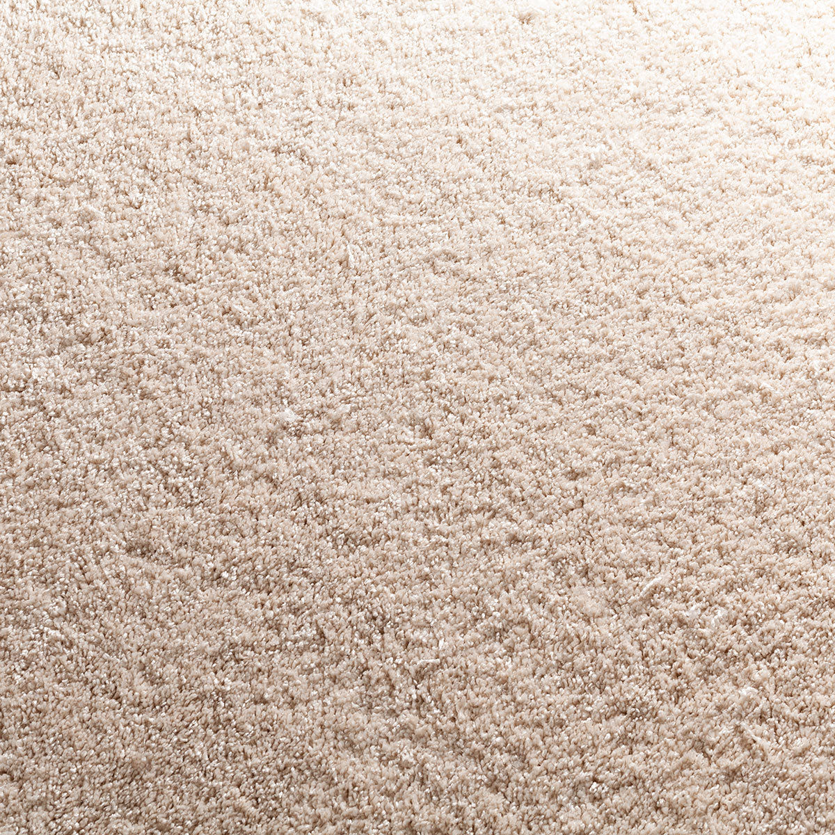 Glycinia Teppichboden | Farbe: Creme (275)