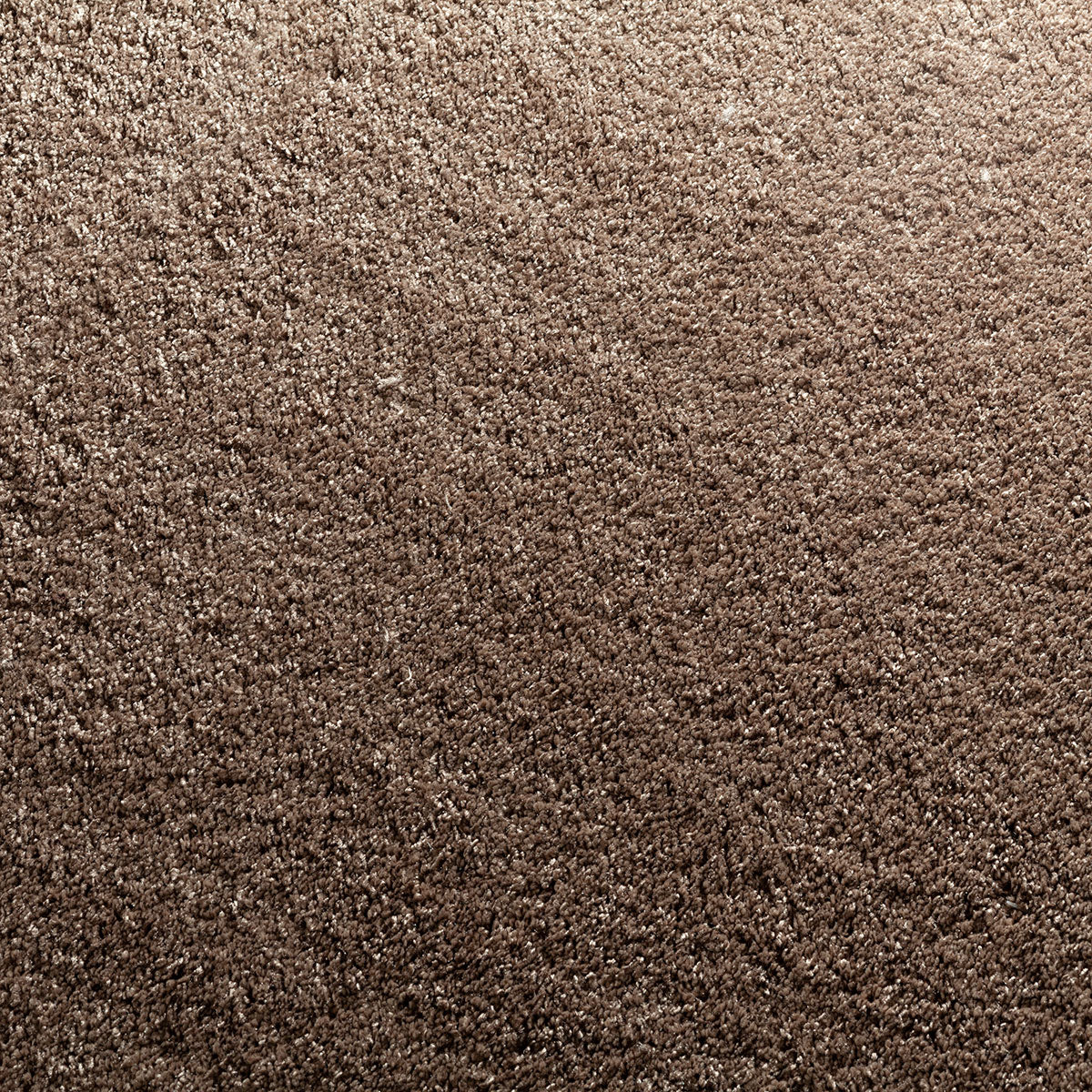 Glycinia Teppichboden | Farbe: Mokka (325)