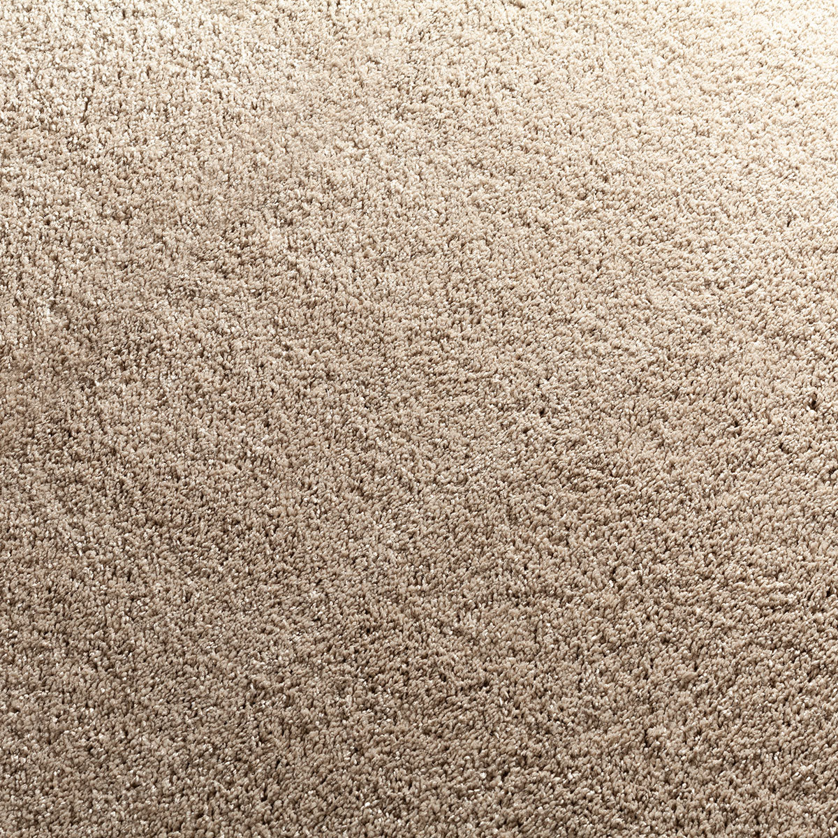 Glycinia Teppichboden | Farbe: Taupe (272)