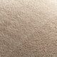 Taupe (272)