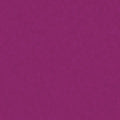 Fuchsia (1Q51)