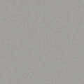 Silbergrau (5N50)