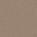 Taupe (8E99)