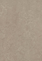 Ibrovano Linoleumboden 200cm | Farbe: Taupe | Farbansicht