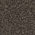 Beige (76.02)