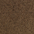 Braun (80.04)