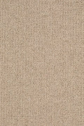 Juniva Teppich nach Maß | Farbe: Creme (062) | Musterfoto (Farbe kann abweichen)