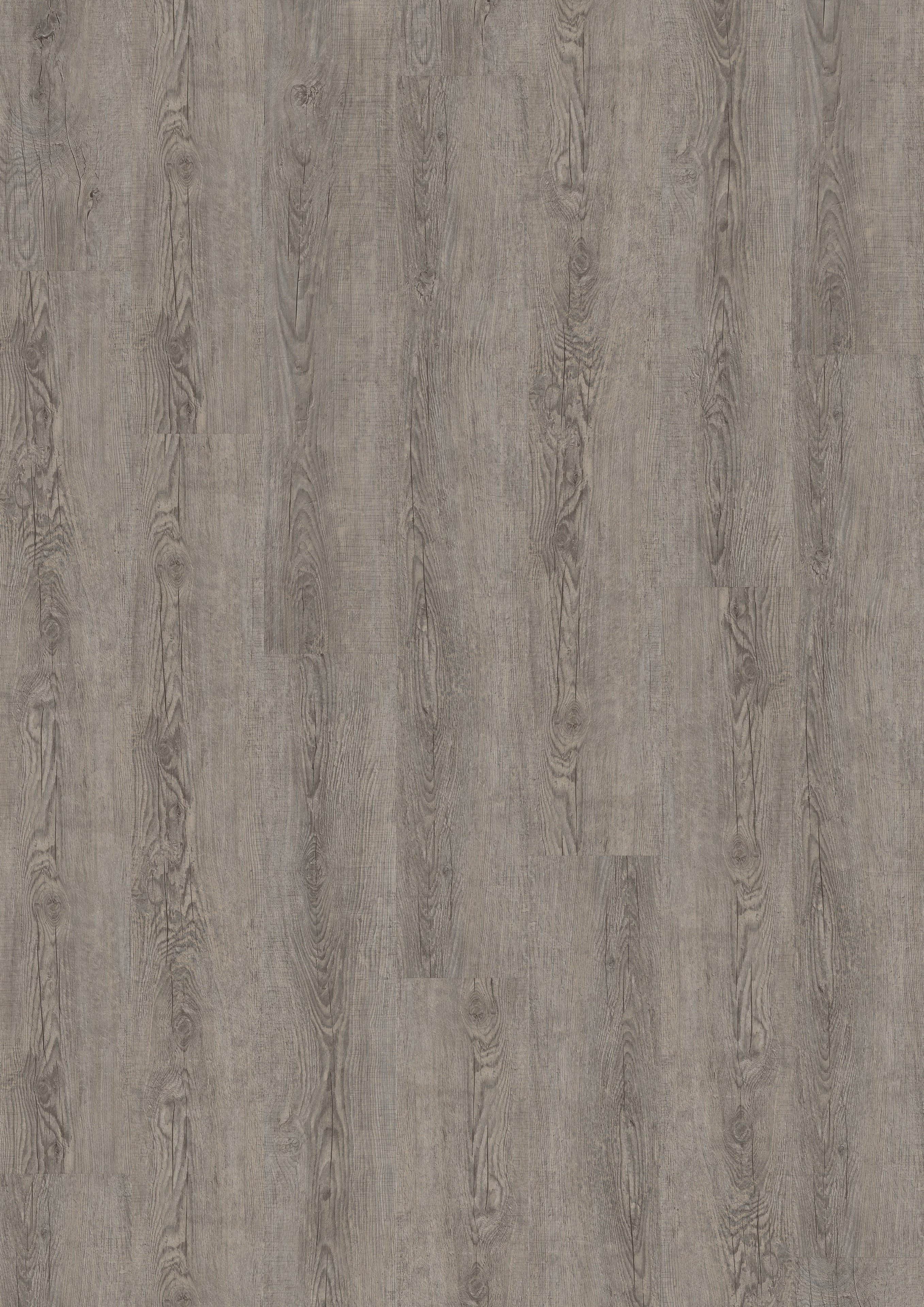 Kolding Eiche Altgrau Klickvinyl 9,6mm