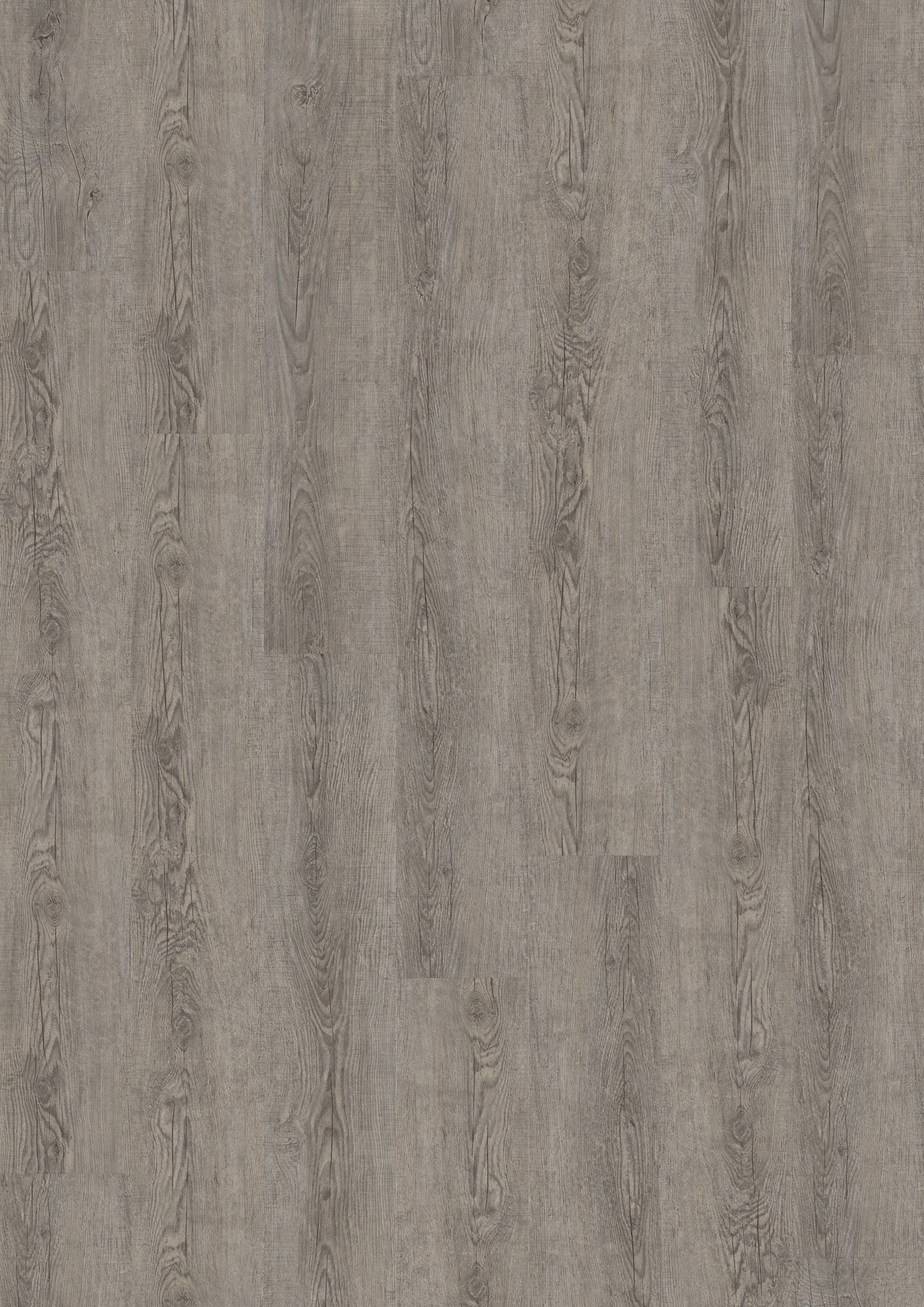 Kolding Eiche Altgrau Klickvinyl 9,6mm