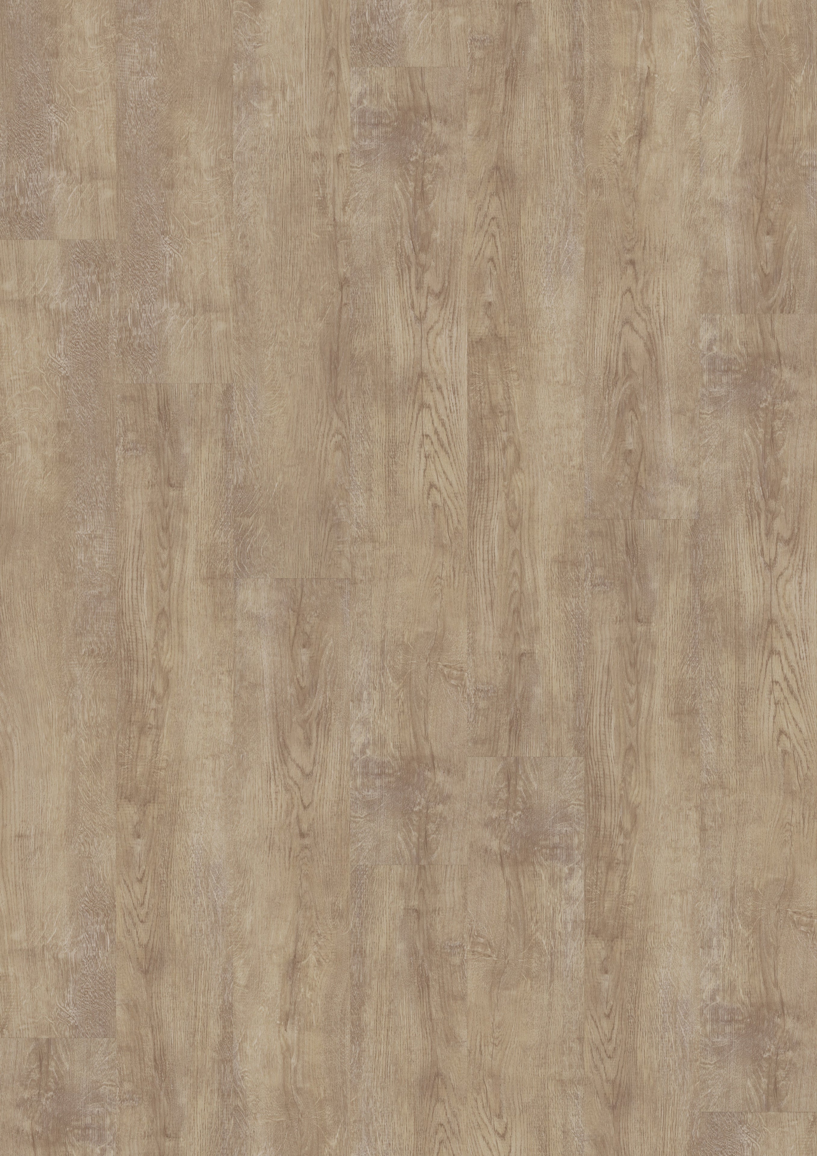 Kolding Eiche Vanille Klickvinyl 9,6mm