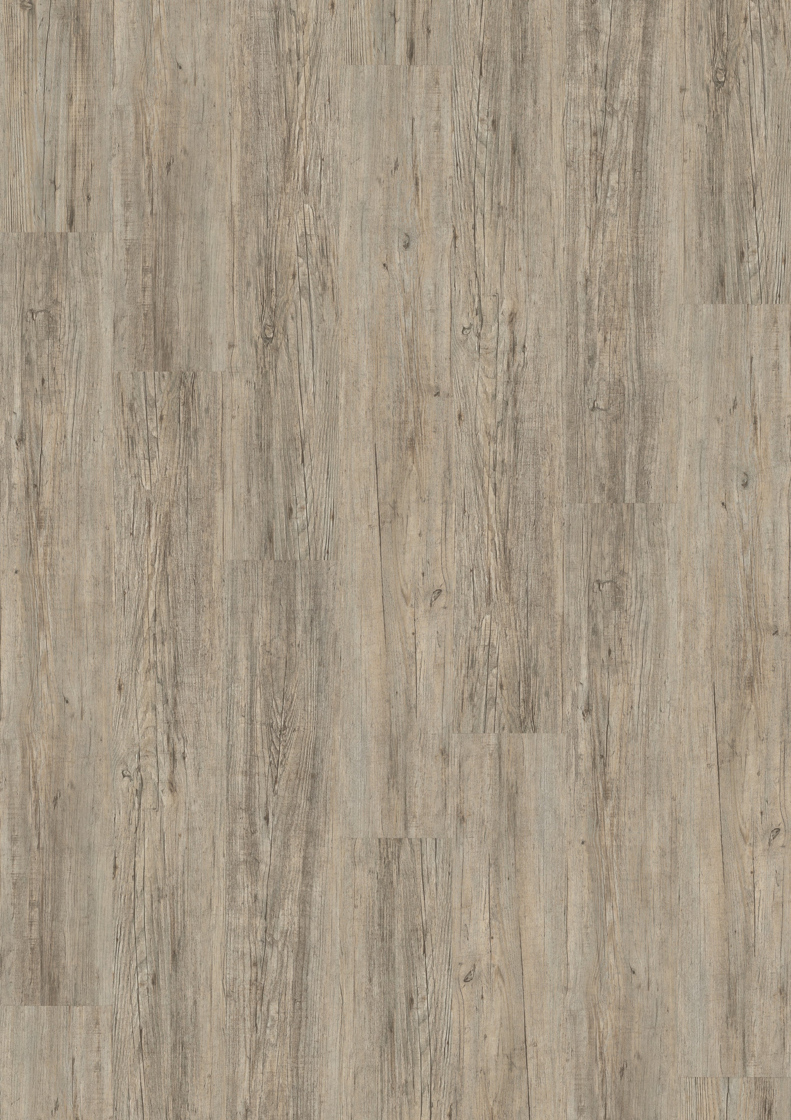 Kolding Kiefer Grau Klickvinyl 9,6mm