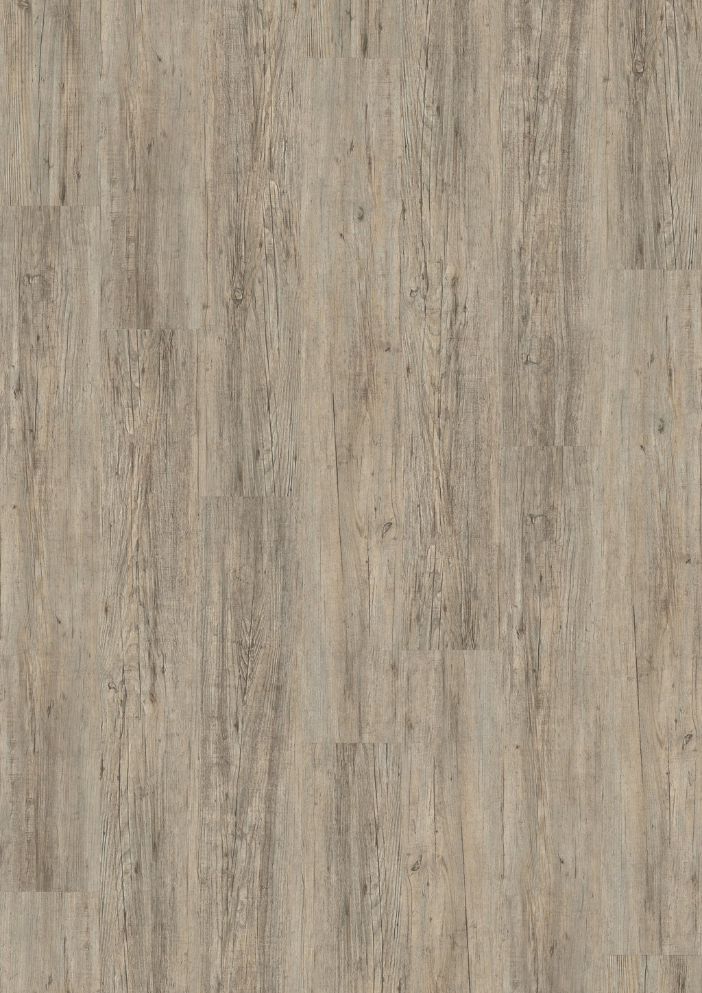 Kolding Kiefer Grau Klickvinyl 9,6mm