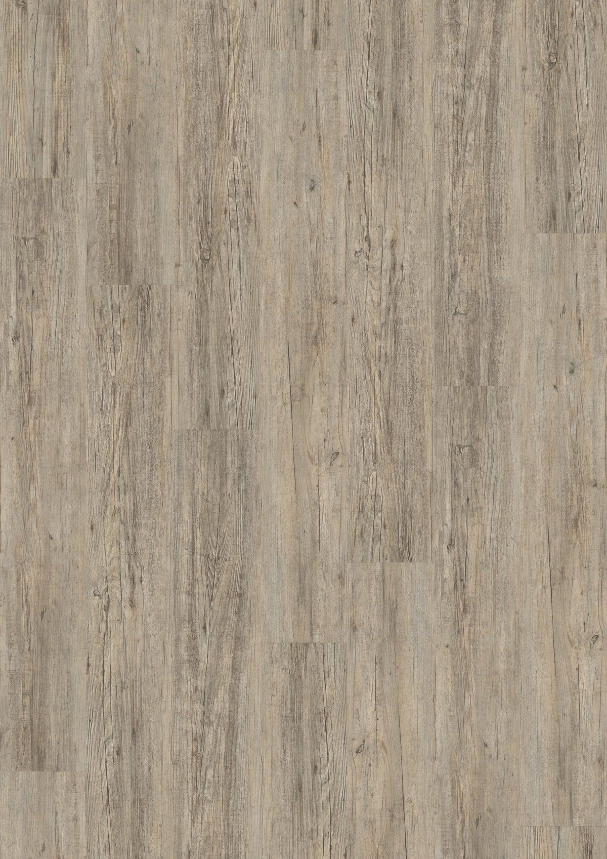 Kolding Kiefer Grau Klickvinyl 9,6mm