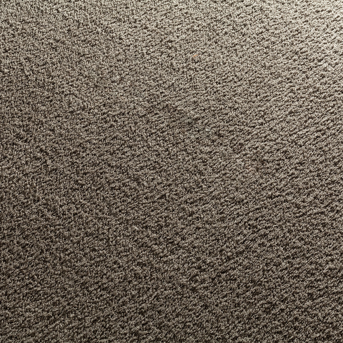 Kosmea Teppichboden | Farbe: Graubraun (723)