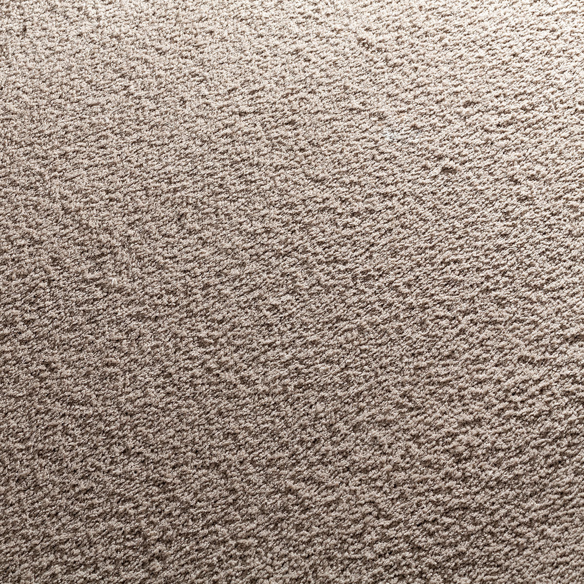 Kosmea Teppichboden | Farbe: Taupe (475)