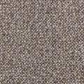 Dunkeltaupe (19)