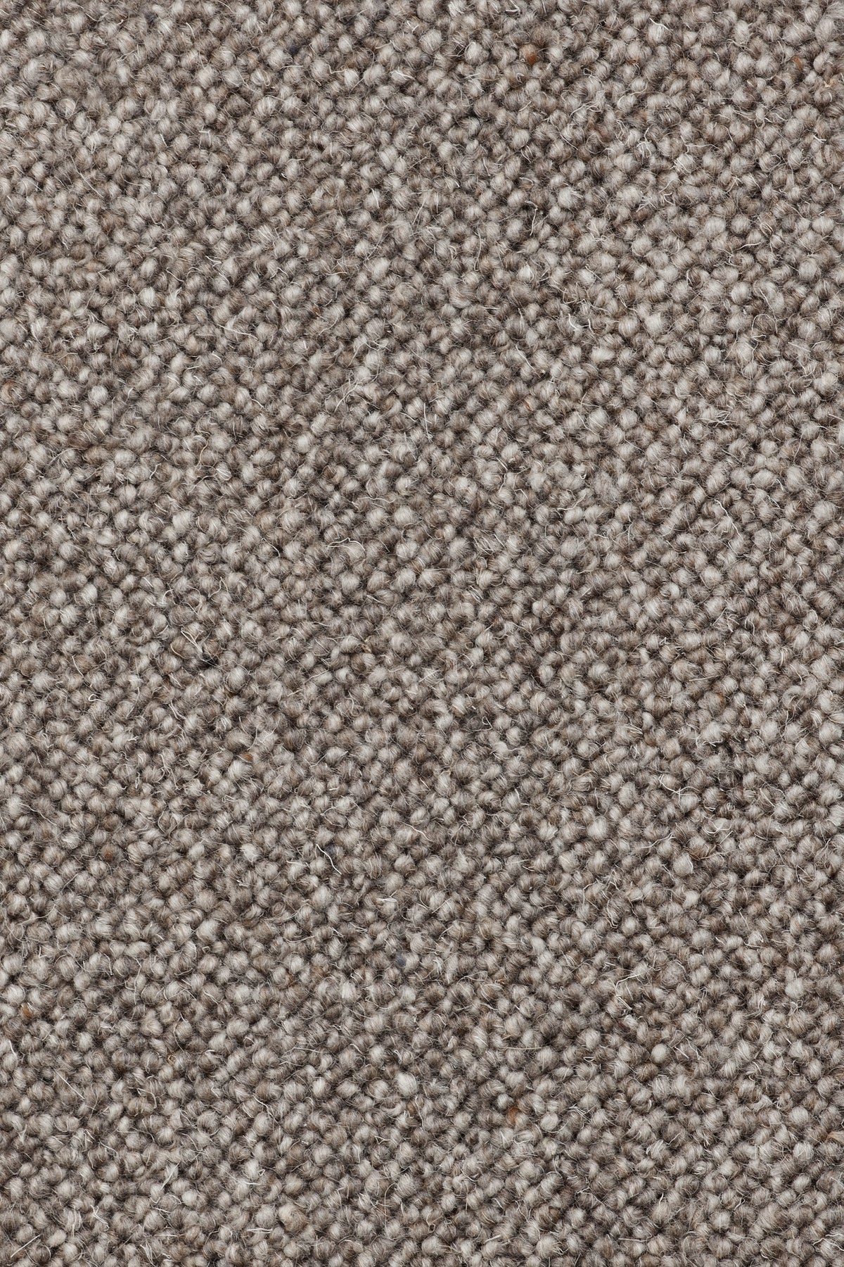 Lanzetta Teppichboden | Farbe: Dunkeltaupe (19)