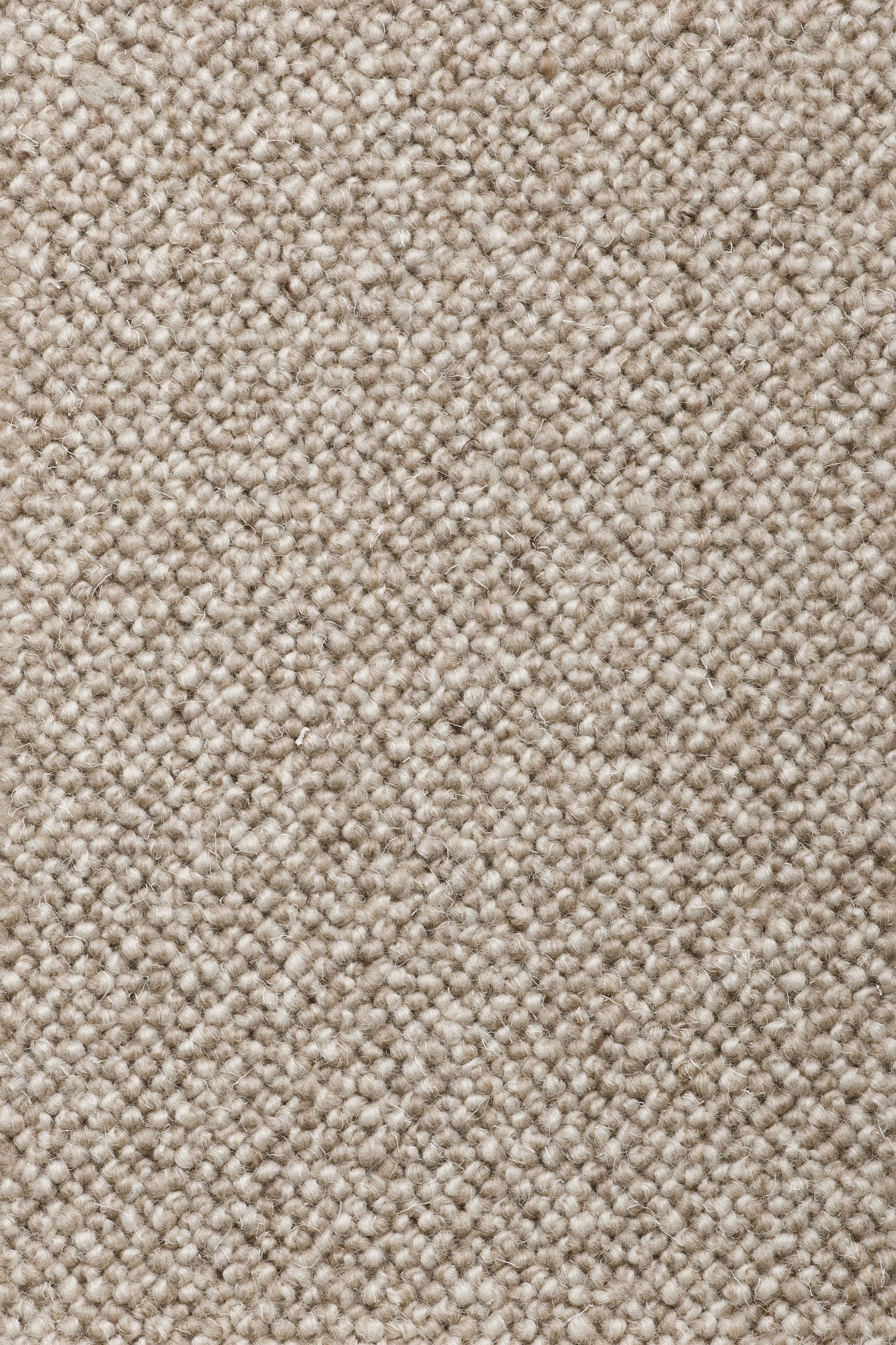 Lanzetta Teppichboden | Farbe: Kieselgrau (16)