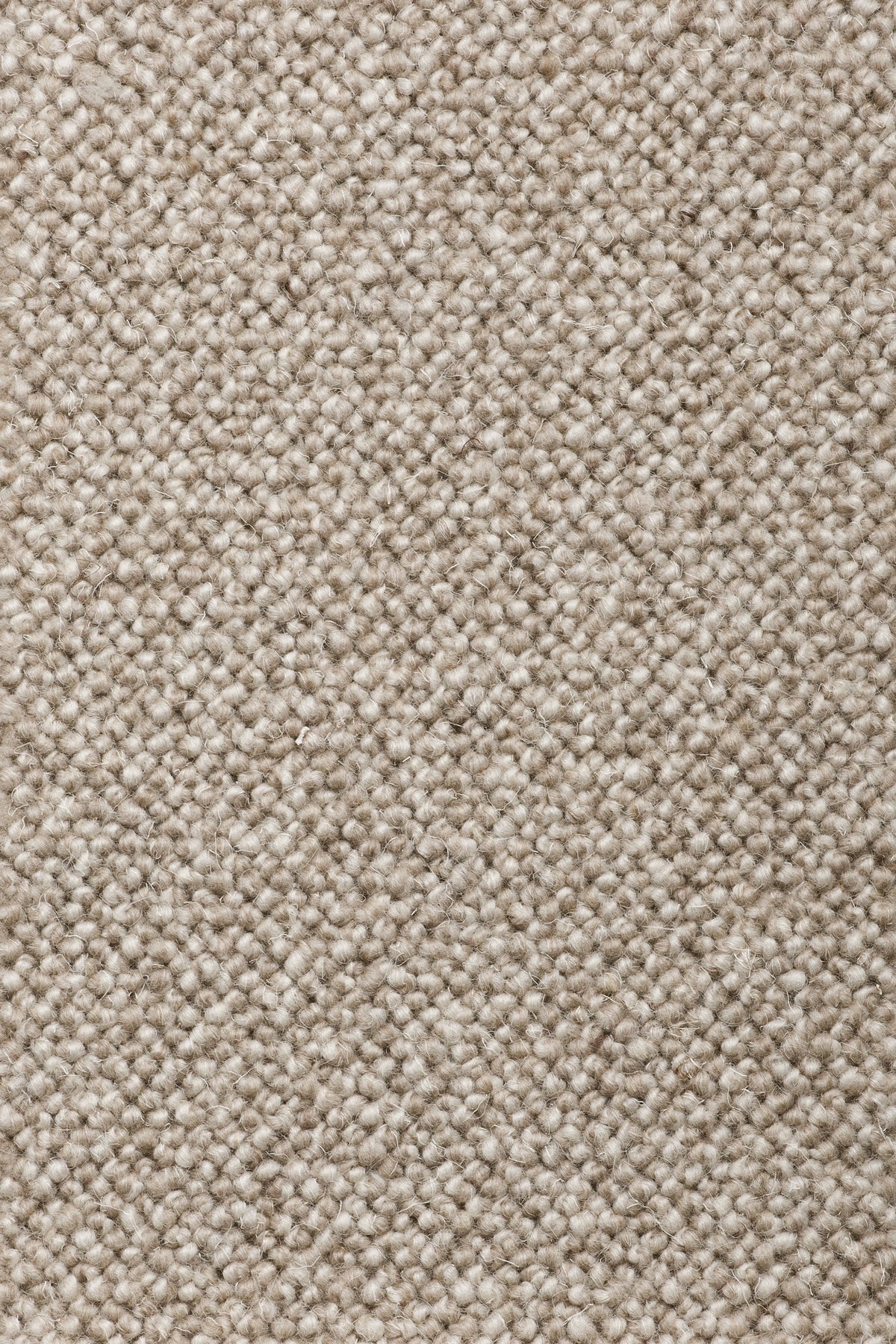 Lanzetta Teppichboden | Farbe: Kieselgrau (16)