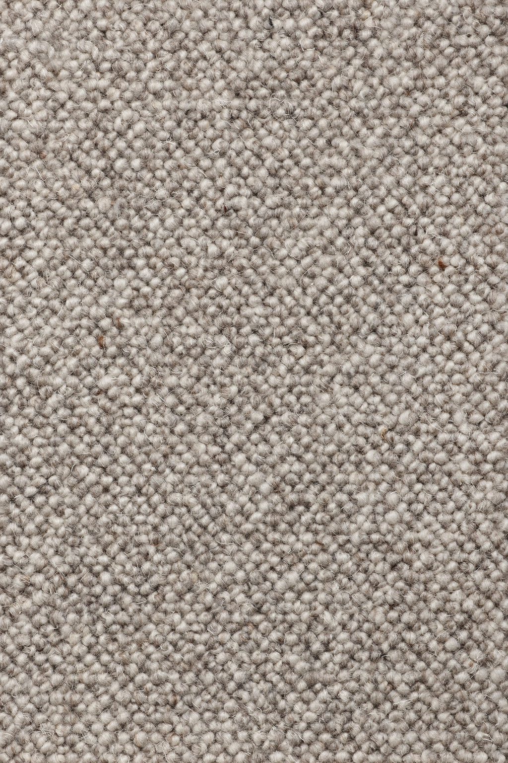 Lanzetta Teppichboden | Farbe: Taupe (17)