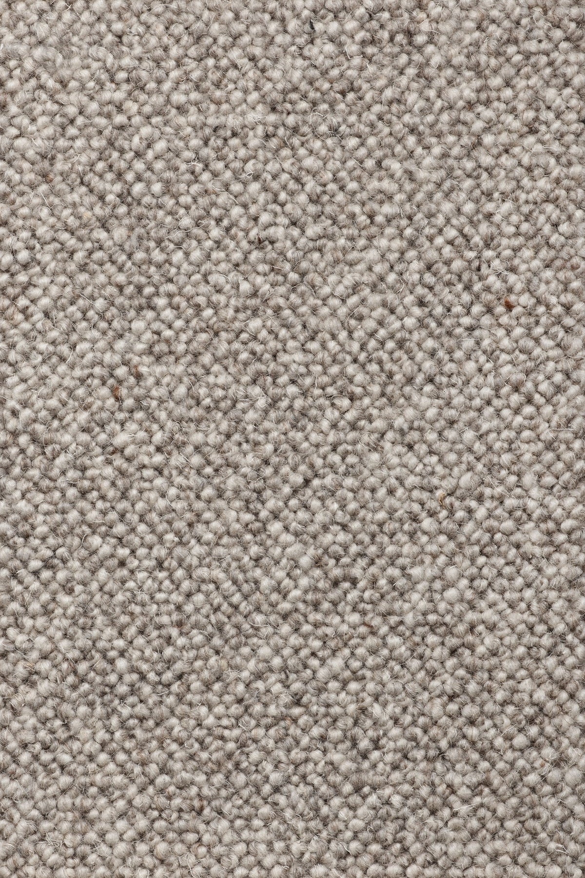 Lanzetta Teppichboden | Farbe: Taupe (17)