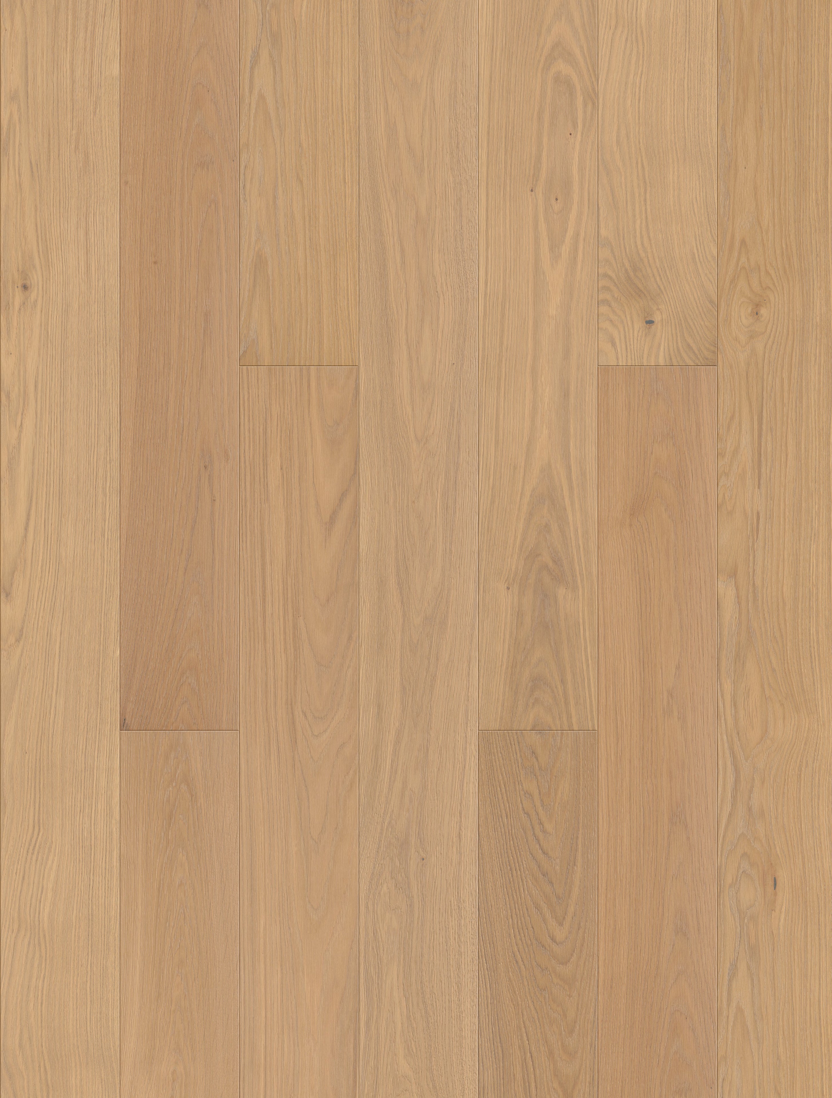 Lorvena | Farbe: Eiche Creme Select geölt | Produktbild